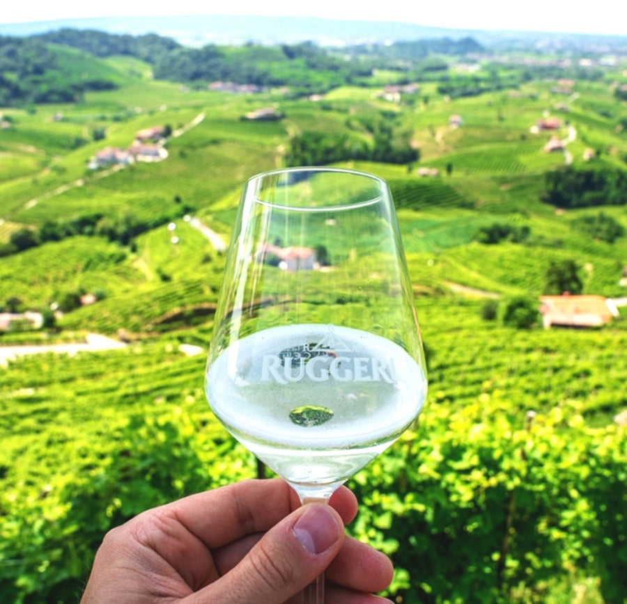 Colline del Ducato - Tour 2 giorni - WINERIES