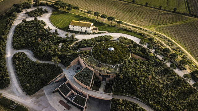 Frescobaldi Tenuta Ammiraglia - Degustazione di vino esclusiva