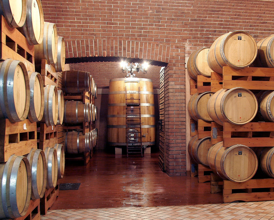 Castellani Michele - Degustazione 4 Vini