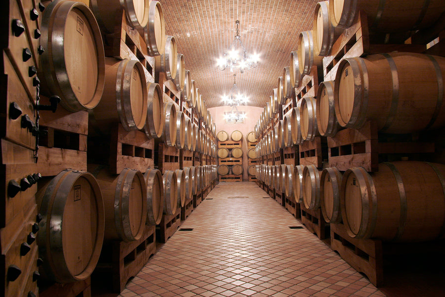 Castellani Michele - Degustazione 4 Vini