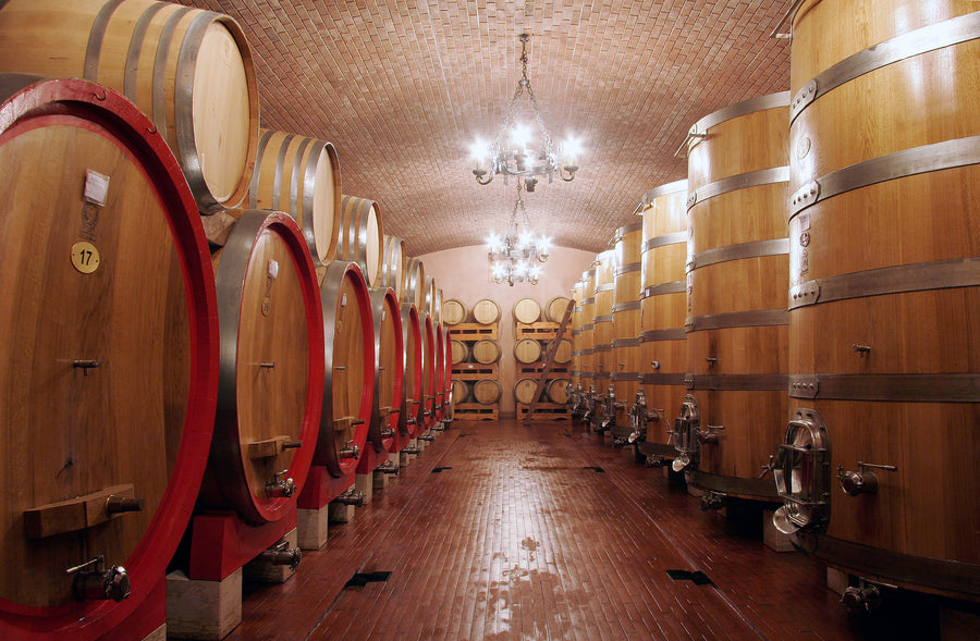 Castellani Michele - Degustazione 4 Vini