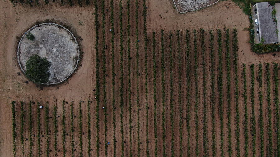 Masseria Fano Relais & Wine - Delux soggiorno e degustazione Puglia Masseria Fano Relais & Wine