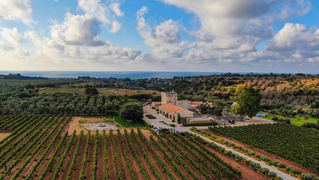 Masseria Fano Relais & Wine - Delux soggiorno e degustazione Puglia Masseria Fano Relais & Wine