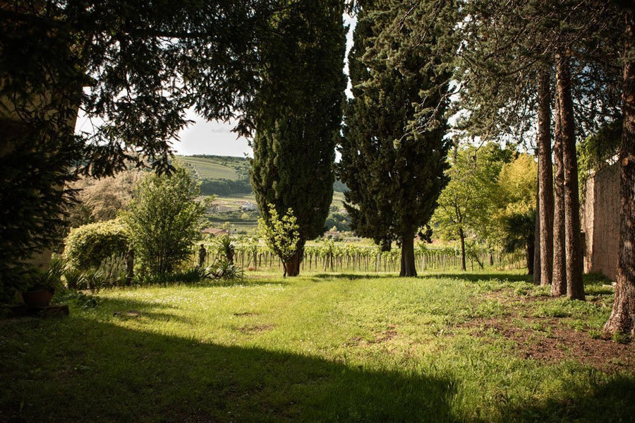 Nepos Villae - Degustazione Valpolicella