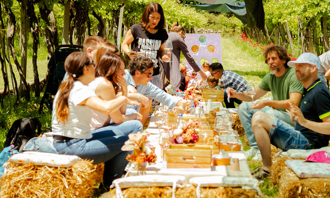 Az. Agricola Gianluca Fugolo - Degustazione "Viaggio in Valpolicella"