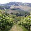 La Bandina - Lunch tasting e tour