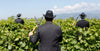 Tenuta L'Armonia - Degustazione Conosci L'Armonia