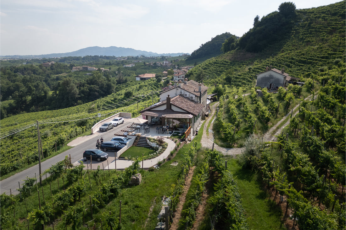 Rebulli - Valdobbiadene: Degustazione di Spumante Prosecco Superiore Limited Edition Veneto Rebulli
