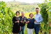 Cantina Bel Colle - Selezione dell'Enologo