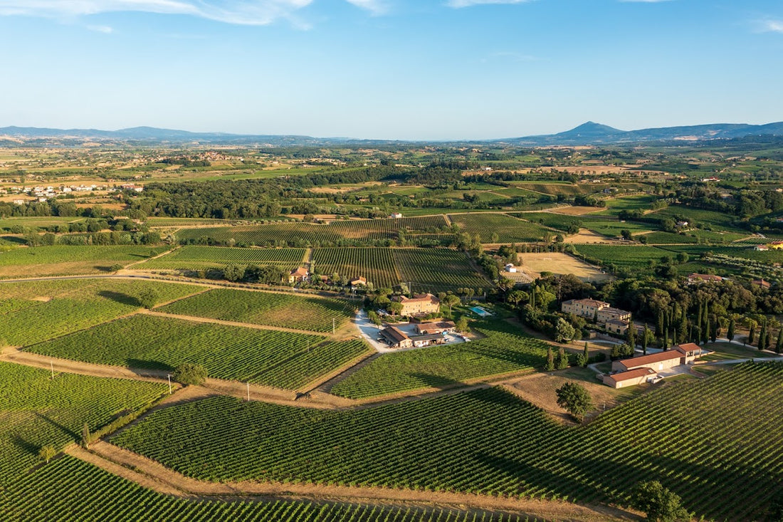 Fattoria Svetoni - Degustazione vino "La Collezione"