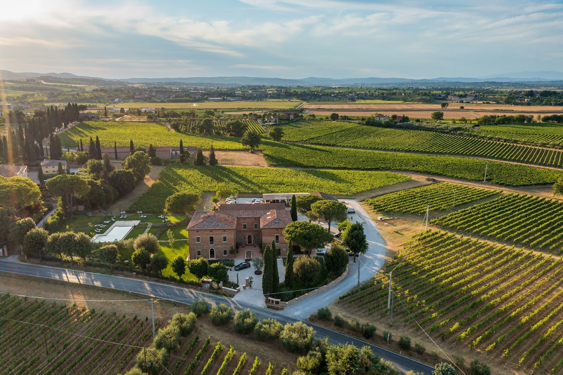 Fattoria Svetoni - Degustazione vino "La Collezione"