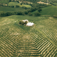 Fattoria La Maliosa - Picnic in vigna sotto la Grande Quercia - WINERIES