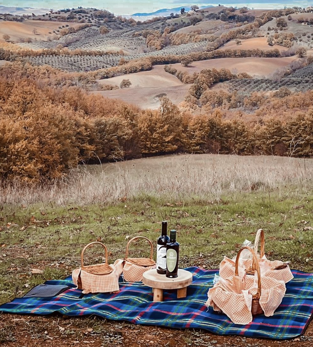 Fattoria La Maliosa - Degustazione e visita della Fattoria