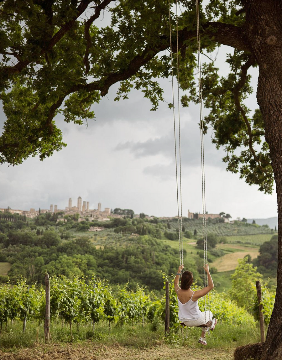 Arrigoni 1913 - Lunch + 3 wines