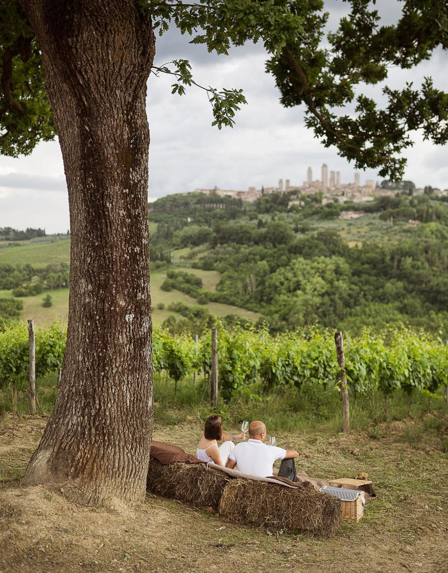 Arrigoni 1913 - Lunch + 3 wines