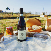 Calatroni wines - escursione in bici, pic nic e degustazione