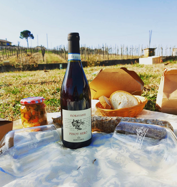 Calatroni wines - escursione in bici, pic nic e degustazione