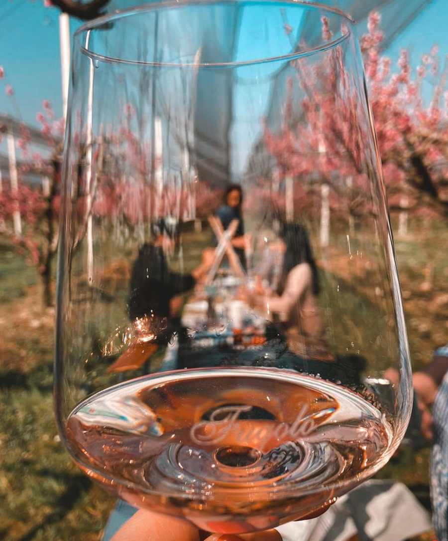 Az. Agricola Gianluca Fugolo - Degustazione "Viaggio in Valpolicella"