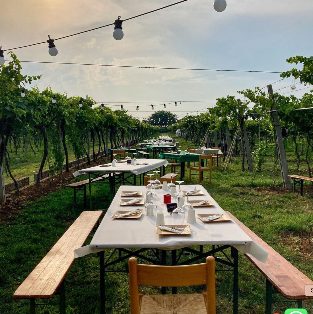 Az. Agricola Gianluca Fugolo - Degustazione "Viaggio in Valpolicella"