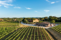 Fattoria Svetoni - Degustazione vino 