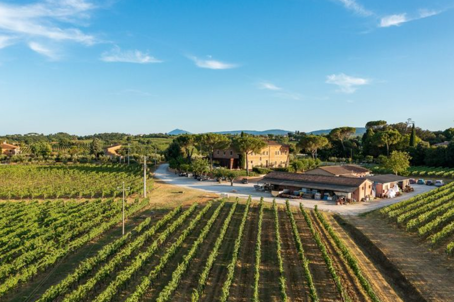 Fattoria Svetoni - Degustazione vino "La Collezione"