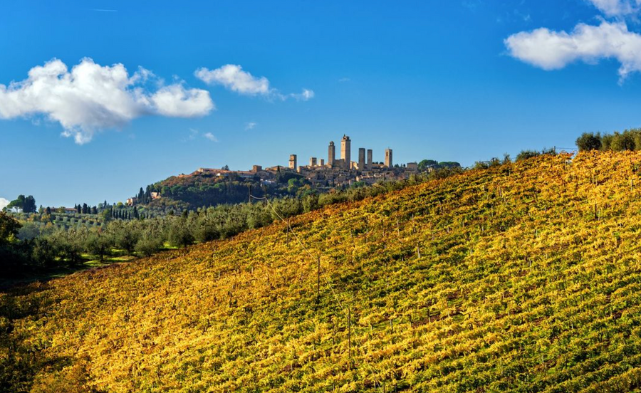 Torciano Winery - Tour in Elicottero & Degustazione