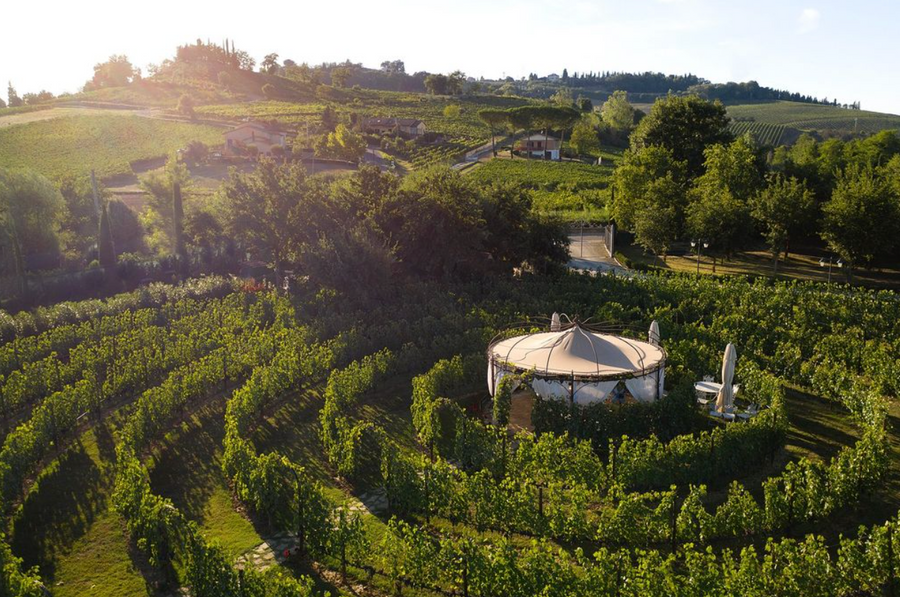 Torciano Winery - Tour in Elicottero & Degustazione