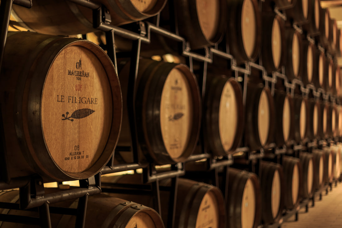 Le Filigare - Degustazione di 4 Vini con Tagliere Toscana Le Filigare