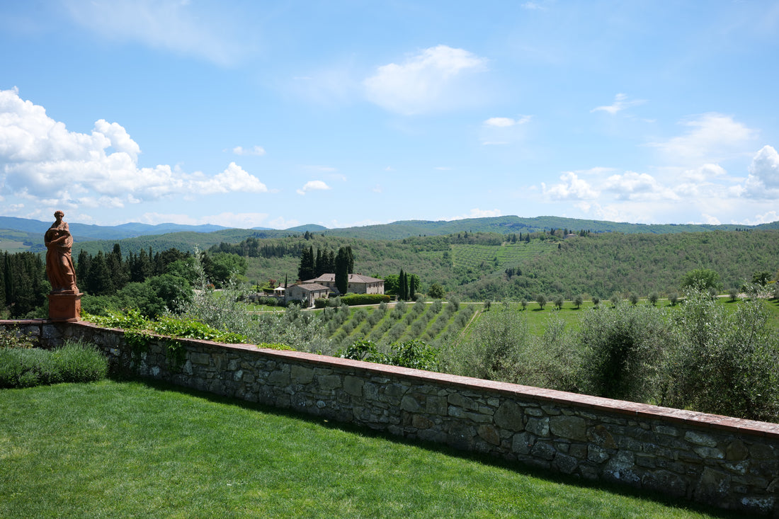 Le Filigare - Degustazione di 4 Vini Toscana Le Filigare