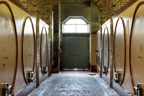 Castello di Torre in Pietra - Cooking class e Pranzo Lazio Castello di Torre in Pietra