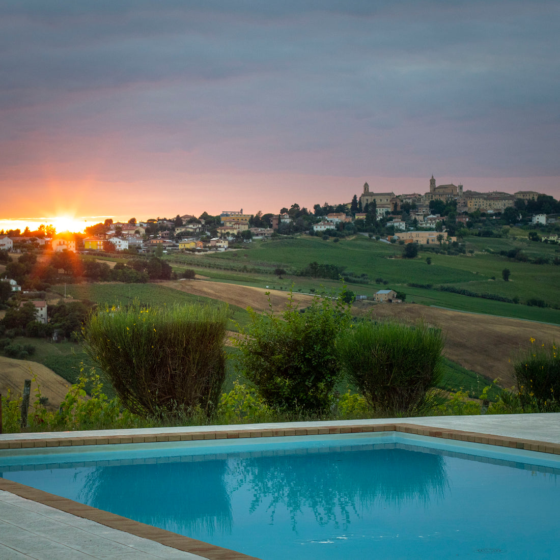 Tenuta San Marcello - Esperienza Gastronomica - WINERIES