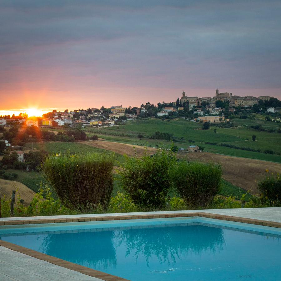 Tenuta San Marcello - Esperienza Gastronomica - WINERIES