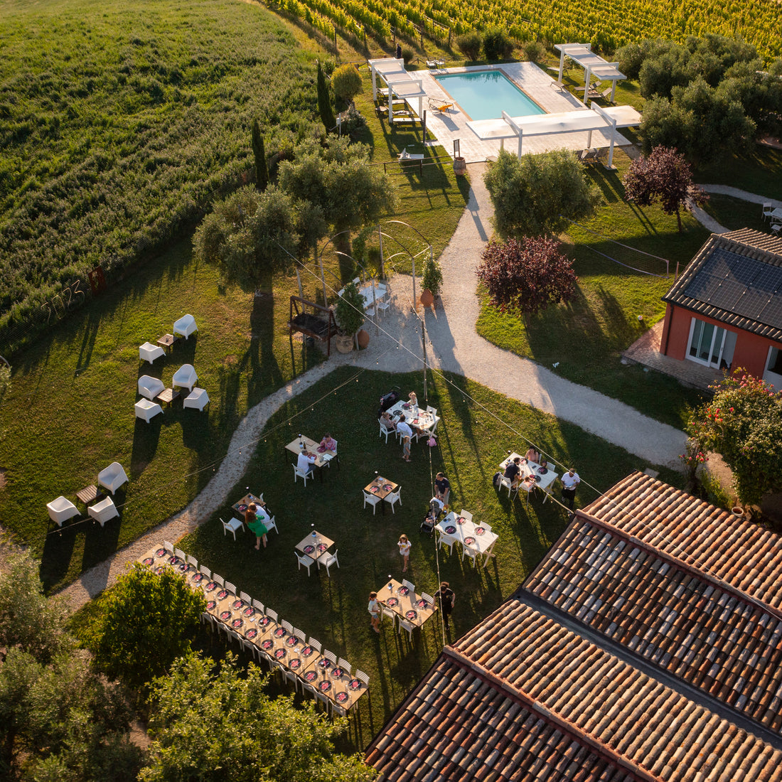 Tenuta San Marcello - “Visita Libera con il Vignaiolo” - WINERIES