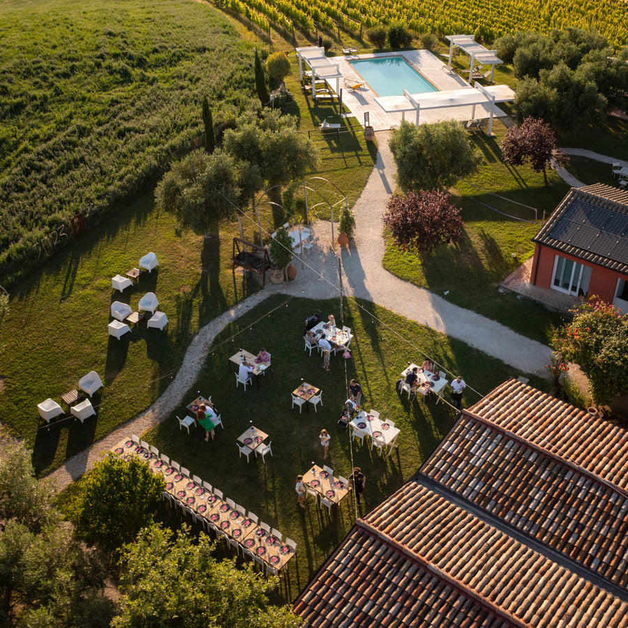 Tenuta San Marcello - “Visita Libera con il Vignaiolo” - WINERIES