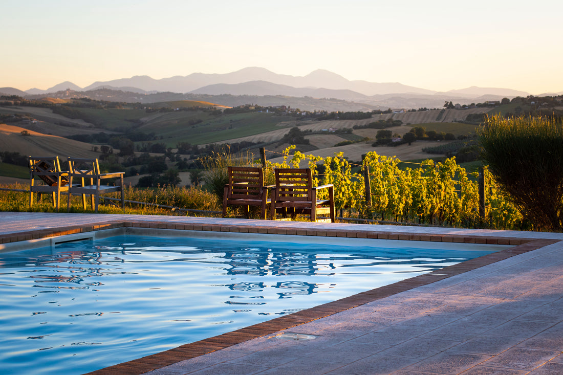 Tenuta San Marcello - “Tanta voglia di conoscere” - WINERIES