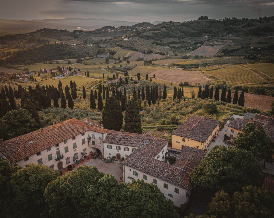 Tentua di capezzana - Degustazione di vino esclusiva