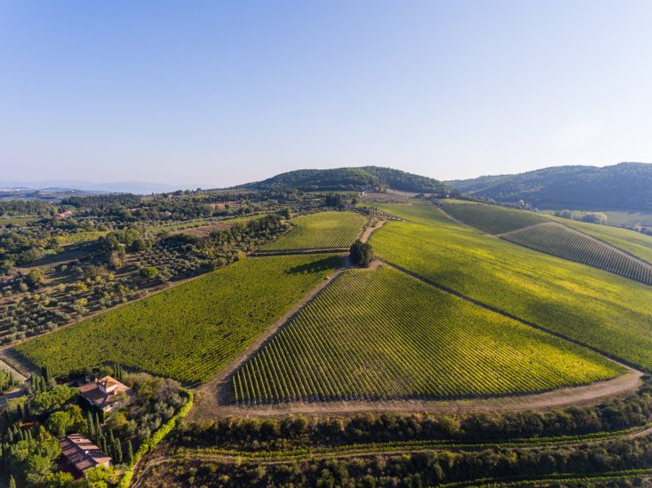 Tenuta Antinori Tignanello - Degustazione di vino esclusiva