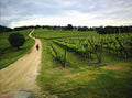 Arnaldo Caprai - SAGRANTINO LOVERS