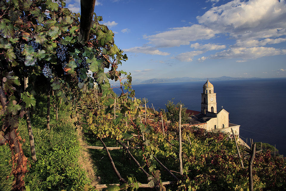 Marisa Cuomo - Degustazione di vino esclusiva