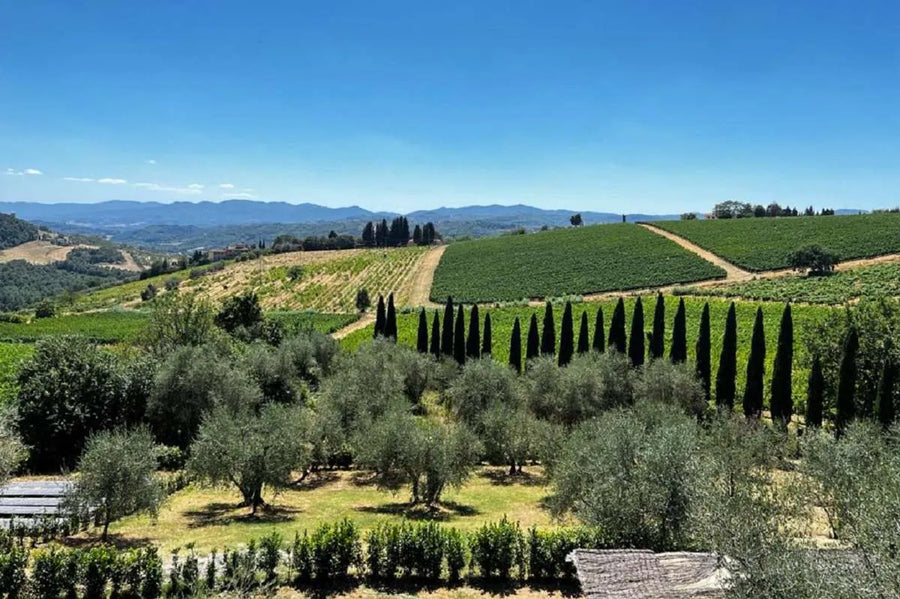 Travignoli - Tasting with view - WINERIES