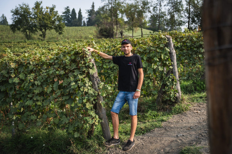 Cantina Dell'Erba - Degustazione 3 Vini e visita guidata - Piemonte