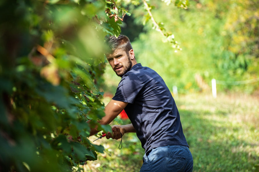 Cantina Dell'Erba - Degustazione 3 Vini e visita guidata - Piemonte