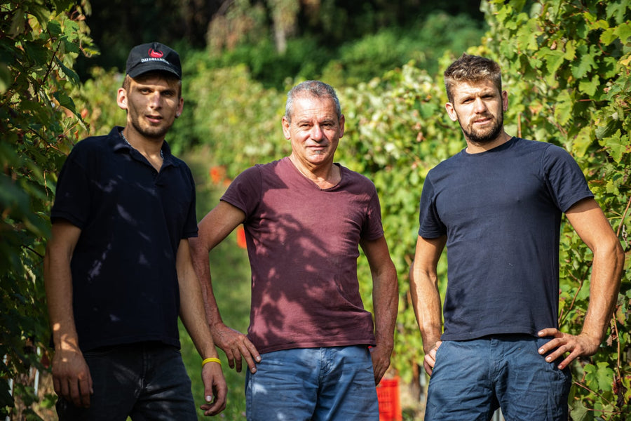 Cantina Dell'Erba - Degustazione 3 Vini e visita guidata - Piemonte