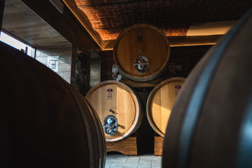 Cantina Dell'Erba - Degustazione 3 Vini e visita guidata - Piemonte