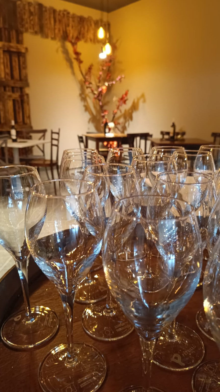 PETRILLO - Pranzo con Degustazione Campania Petrillo