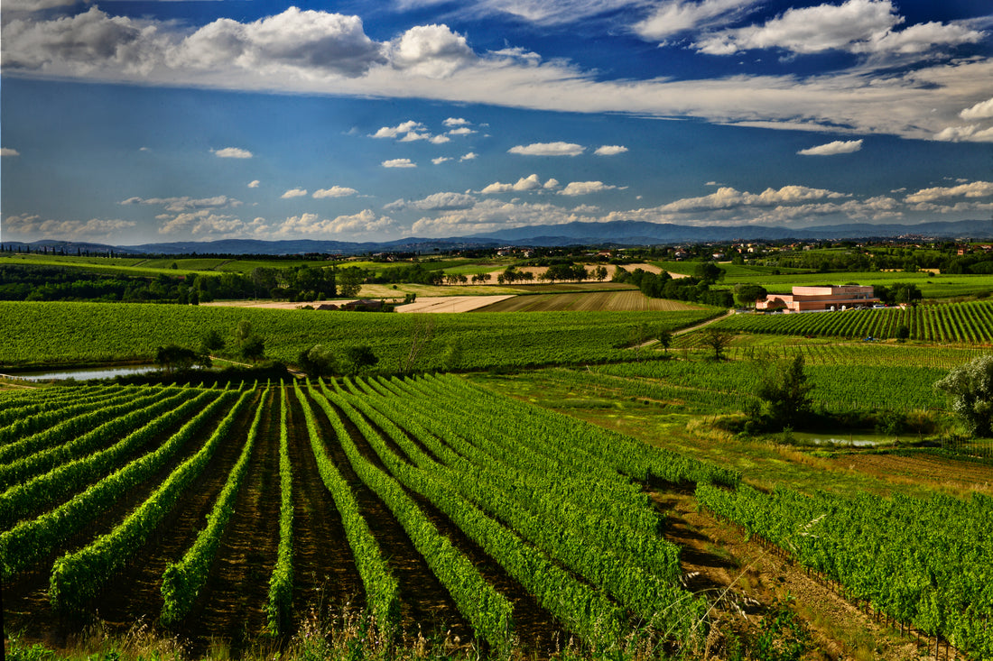 Cantina Fassati - Premium - WINERIES