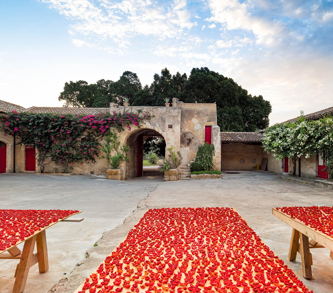 Mazzei Zisola - Degustazione di vino esclusiva