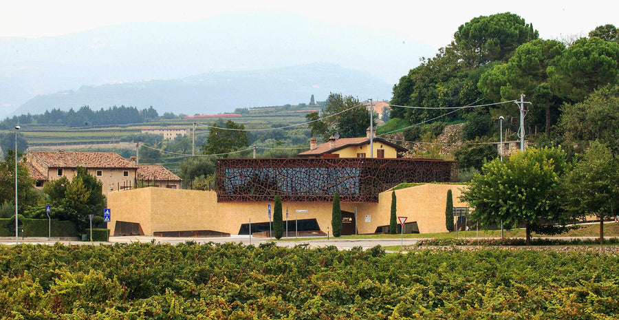 Zyme - Degustazione - WINERIES