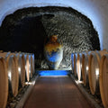 Elena Fucci - Discover Titolo World Complete