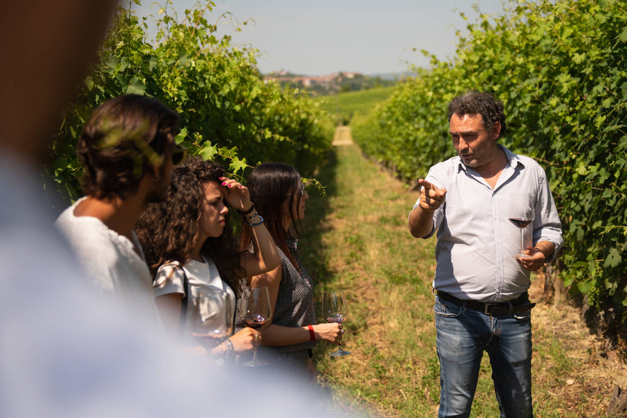 Alessandro Rivetto - Grandi Cru